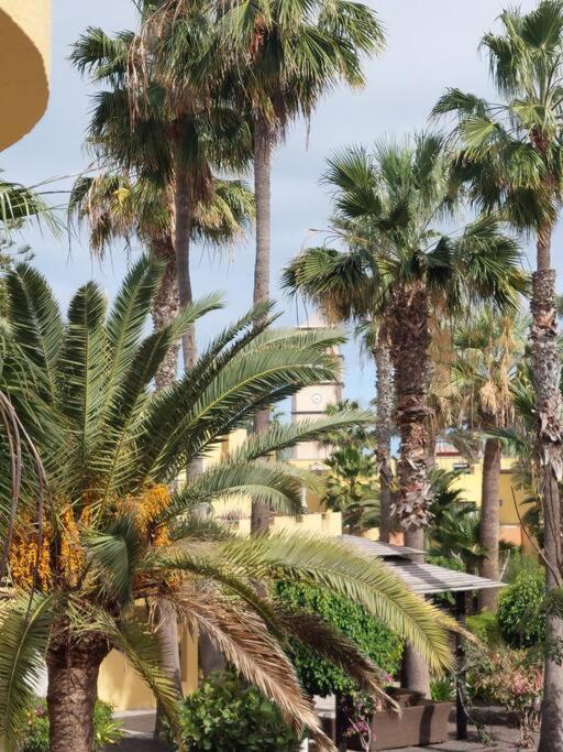 コラレホAtlantic Garden - Casa Helenaアパートメント エクステリア 写真